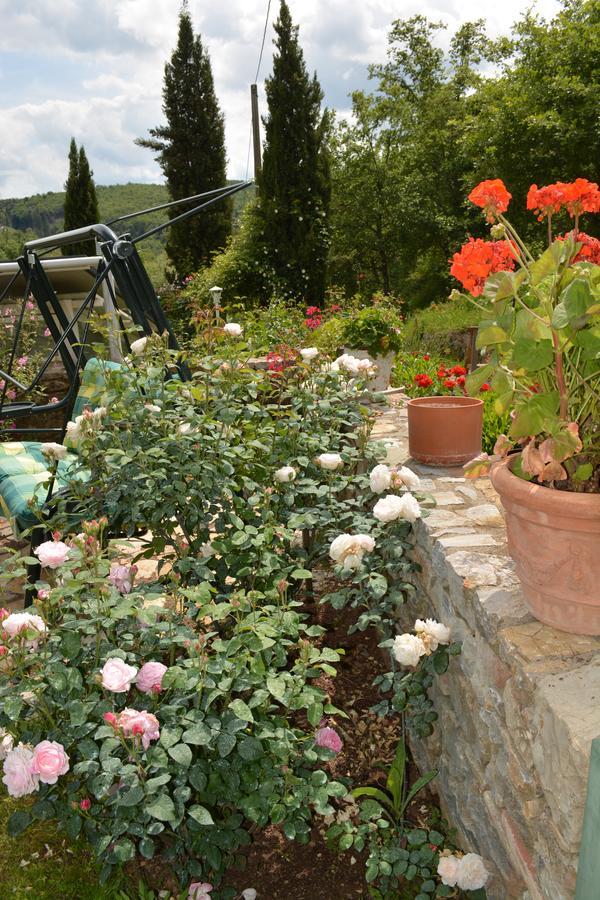 גאיולה אין קיאנטי B&B Podere Il Colto מראה חיצוני תמונה